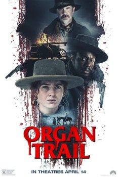 Organ Yolu