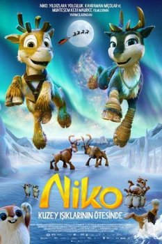 Niko 3: Kuzey Işıklarının Ötesinde